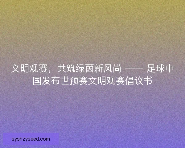 文明观赛，共筑绿茵新风尚 —— 足球中国发布世预赛文明观赛倡议书