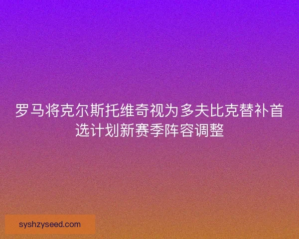 罗马将克尔斯托维奇视为多夫比克替补首选计划新赛季阵容调整