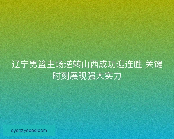 辽宁男篮主场逆转山西成功迎连胜 关键时刻展现强大实力