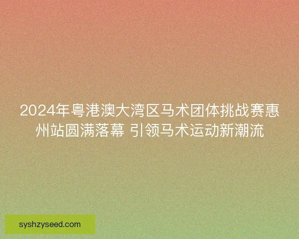 2024年粤港澳大湾区马术团体挑战赛惠州站圆满落幕 引领马术运动新潮流
