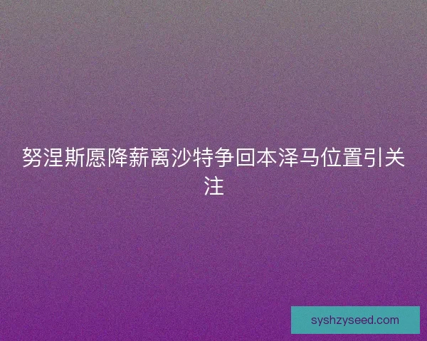 努涅斯愿降薪离沙特争回本泽马位置引关注