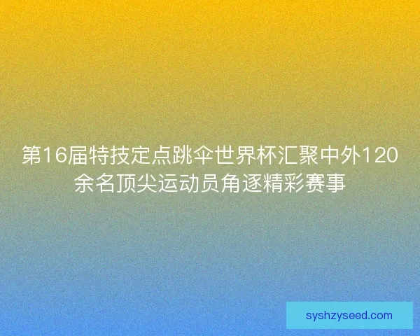 第16届特技定点跳伞世界杯汇聚中外120余名顶尖运动员角逐精彩赛事