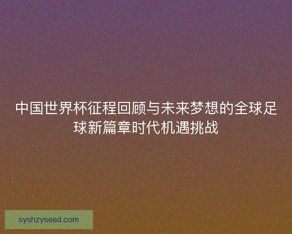 中国世界杯征程回顾与未来梦想的全球足球新篇章时代机遇挑战 中国世界杯征程回顾与未来梦想的全球足球新篇章时代机遇挑战