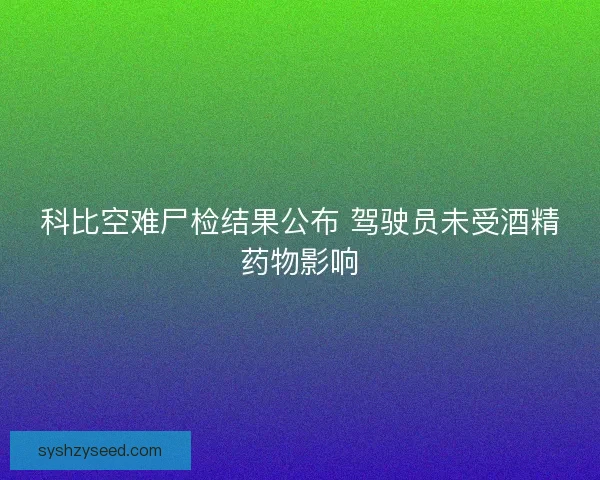 科比空难尸检结果公布 驾驶员未受酒精药物影响 科比空难尸检结果公布 驾驶员未受酒精药物影响