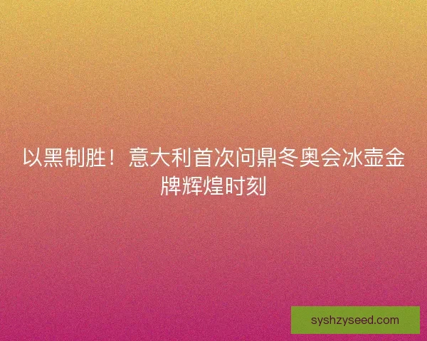 以黑制胜!意大利首次问鼎冬奥会冰壶金牌辉煌时刻 以黑制胜!意大利首次问鼎冬奥会冰壶金牌辉煌时刻