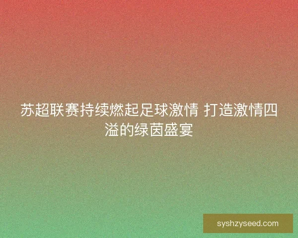 苏超联赛持续燃起足球激情 打造激情四溢的绿茵盛宴 苏超联赛持续燃起足球激情 打造激情四溢的绿茵盛宴