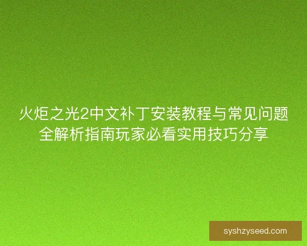 火炬之光2中文补丁安装教程与常见问题全解析指南玩家必看实用技巧分享 火炬之光2中文补丁安装教程与常见问题全解析指南玩家必看实用技巧分享